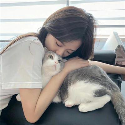 丑闻笔记